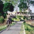 Review: Shikarbadi Hotel, Udaipur Shikarbadi Hotel, located on the outskirts of Udaipur on Goverdhan Vilas, used to be a hunting retreat for the royal family. In fact, for those who don’t know, Shikarbadi literally...