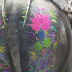 Elephant decorated with colorful painting at the Elephant Festival