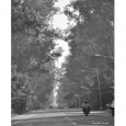 Amritsar and Back: A Road Trip for the Soul – By Sanibh Aryan and Hartaj Singh Dugal It is often said that the journey is more intriguing than the destination itself, and this was no exception. Not taking anything away from the destination at all. Amritsar is,...
