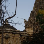 Jain Temple Ranakpur Rajasthan