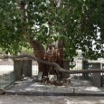Nearly a hundred kilometers from Ranakpur, you get the whiff of a city after much of a wait. This is the city of Pali. It is said that the city...
