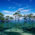 Summer holidays are round the corner. So are you planning for yet another random trip to some hill station this time as well? Why not add some fun and a...