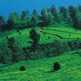 Top 10 Summer Destinations in India A large part of India is known for extreme weather conditions. While the winters can be bone-chilling, the summers in India can be unforgiving. The atrocious summer season calls for...