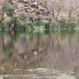 Thandi Beri – Untouched Beauty near Mana Rankapur Not too far from Mana Ranakpur is an unpaved road that leads to a beauty so pristine that it could leave you speechless. The largely unknown destination of this journey...