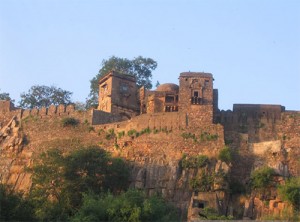 ranthambore-fort, World Heritage Status