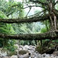 Experience the True Essence of Monsoon in Cherrapunji How beautiful is the rain! After the dust and heat, In the broad and fiery street, In the narrow lane, How beautiful is the rain! By H.W Longfellow Ever wondered...