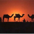 The Colourful Languages of Rajasthan Rajasthan boasts of a number of dialects, though it is primarily a Hindi speaking region. These dialects (mainly Marwari, Mewari, Dhundhari, Mewati and Haruati) put together are broadly recognized as...