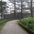 Dharmshala: A Melodious Song of Nature With the backdrop of the enchanting Dhauladhar Mountains, Dharamsala is perched on high slopes in the upper reaches of Kangra Valley. The breathtaking town is divided into two distinct and...