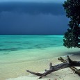 5 Things To See: Exotic Andamans Serene, unspoilt and ethereal: the heavenly Andaman and Nicobar group of islands are a cluster of picturesque islands lying in the lap of Bay of Bengal. The islands form a...