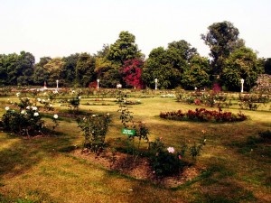 Gulab Bagh, Garden