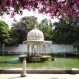 Rajasthan is a study in contrast for the traveller. On one hand is the vast, barren Thar: inhospitable, eerie, almost alien.. and yet alluring. On other hand, are numerous lush...