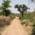 Kumbhalgarh trek, handicrafts workshop the latest things-to-do at Mana Hotel! The visitors to Ranakpur’s favorite boutique hotel, Mana Hotel, can now have even more fun during their stay. The hotel has added a trek to Kumbhalgarh fort and a handicrafts...