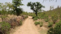 The visitors to Ranakpur’s favorite boutique hotel, Mana Hotel, can now have even more fun during their stay. The hotel has added a trek to Kumbhalgarh fort and a handicrafts...