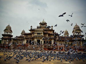  reasons why Jaipur is an amazing