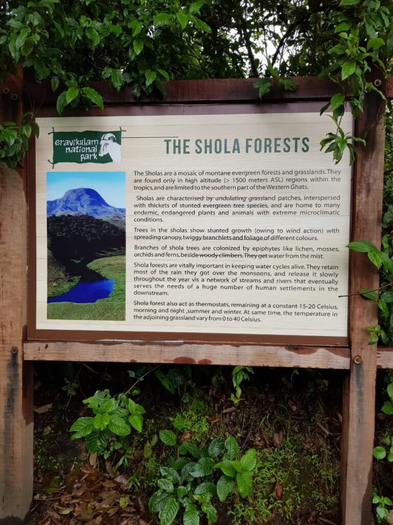 Shola Forests