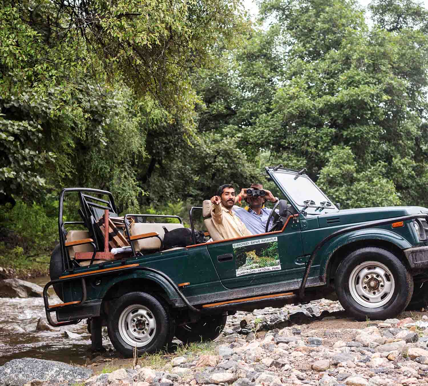 Jeep Safari's