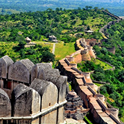 Musical Entertainment