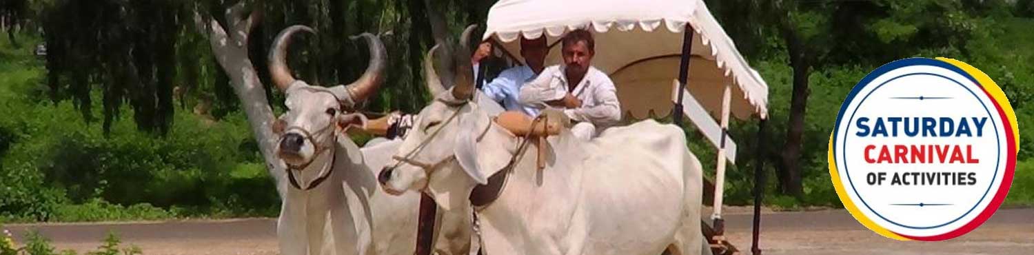 Saturday carnival at Mana Hotels