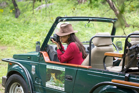 Jeep Safari