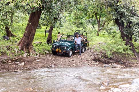 Ranakpur Forest