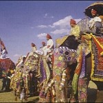 Elephant procession at Chaugun Stadium in Jaipur
