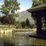 Shalimar Bagh, Kashmir, India