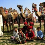 Camel Festival, Bikaner