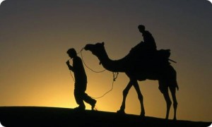 camel-safari-rajasthan