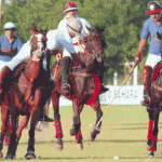 polo in rajasthan 2