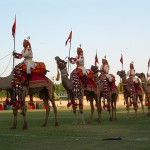 Marwar Festival8