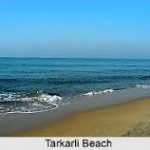 tarkarli